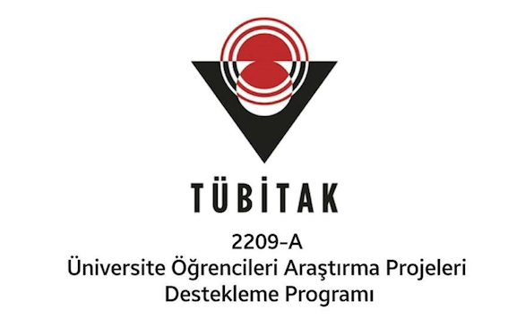 TÜBİTAK 2209-A Optimizasyon Projesi